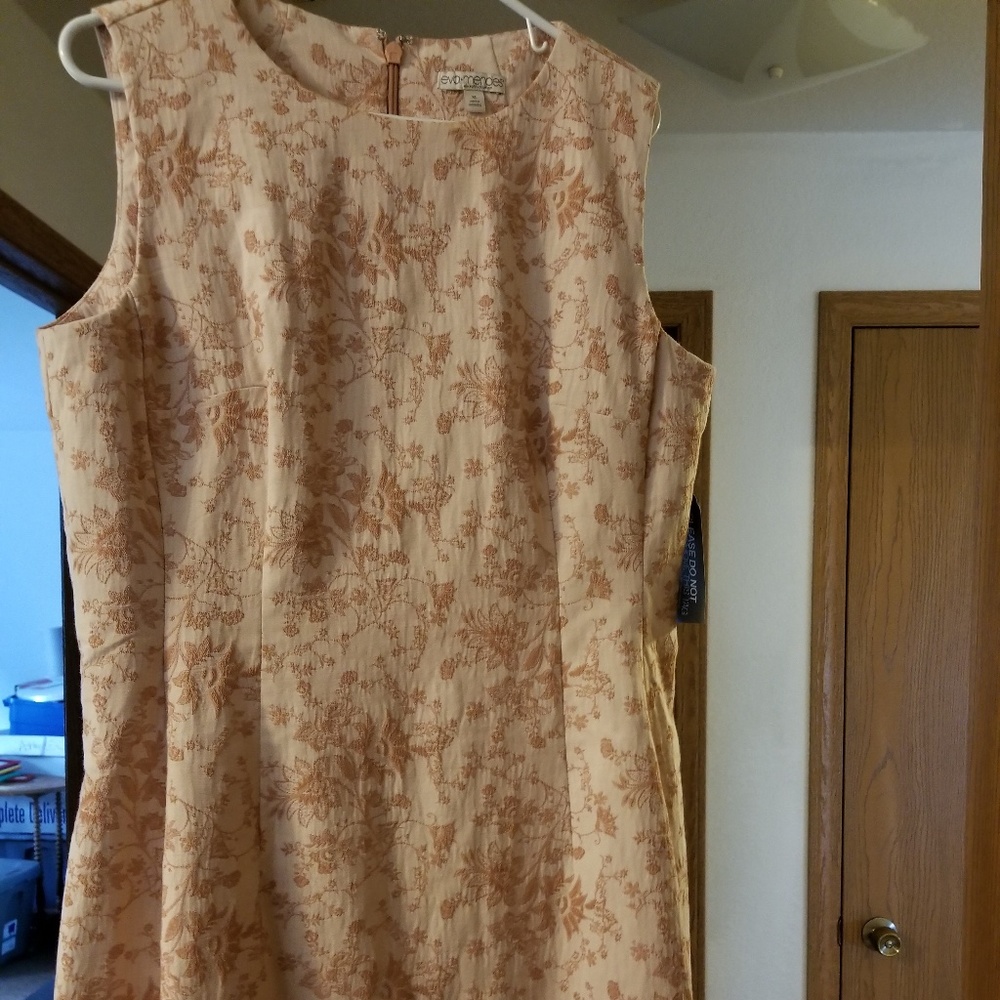 Eva Mendes dress